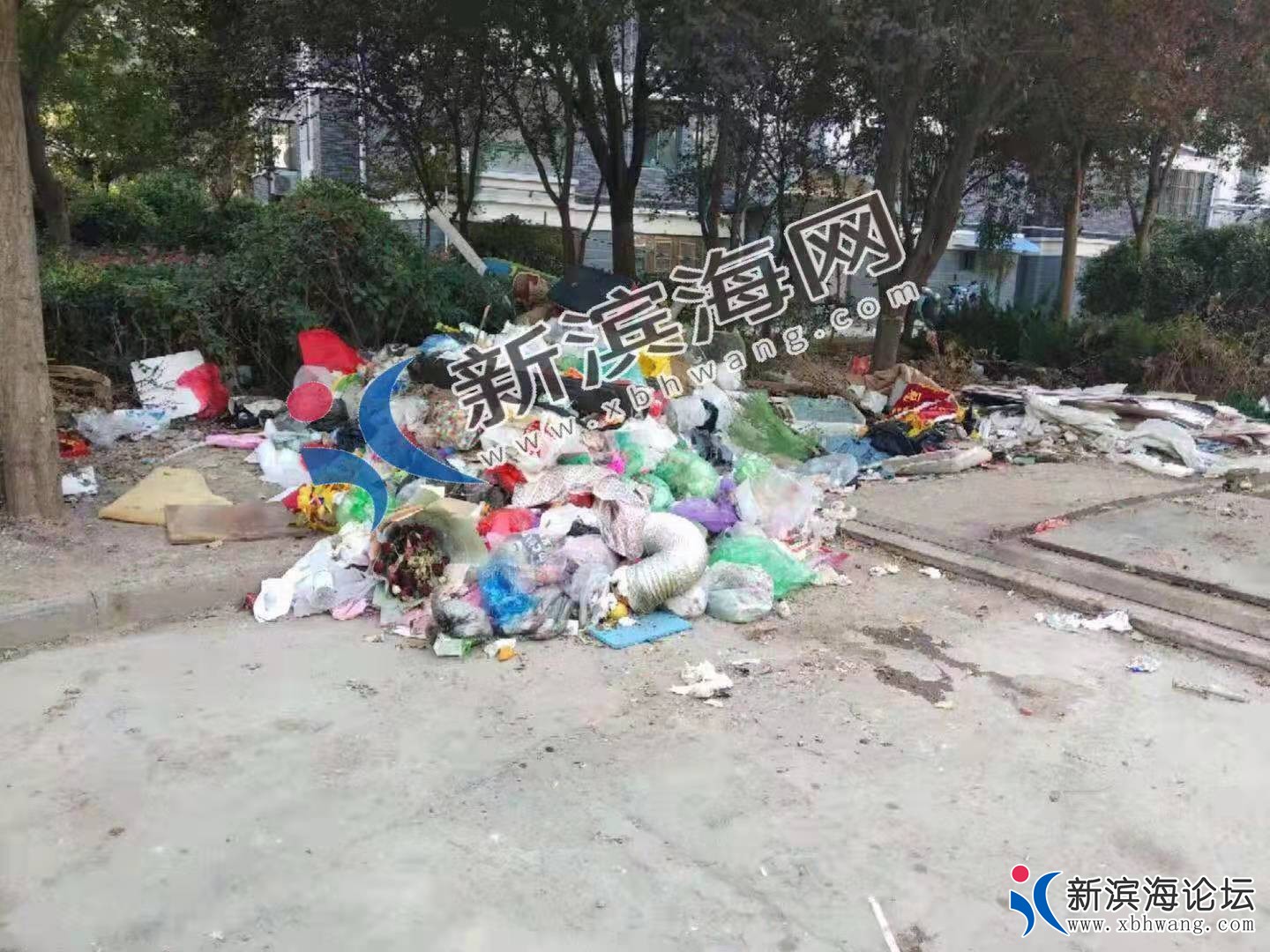 微信图片_20191028152642 - 副本.jpg