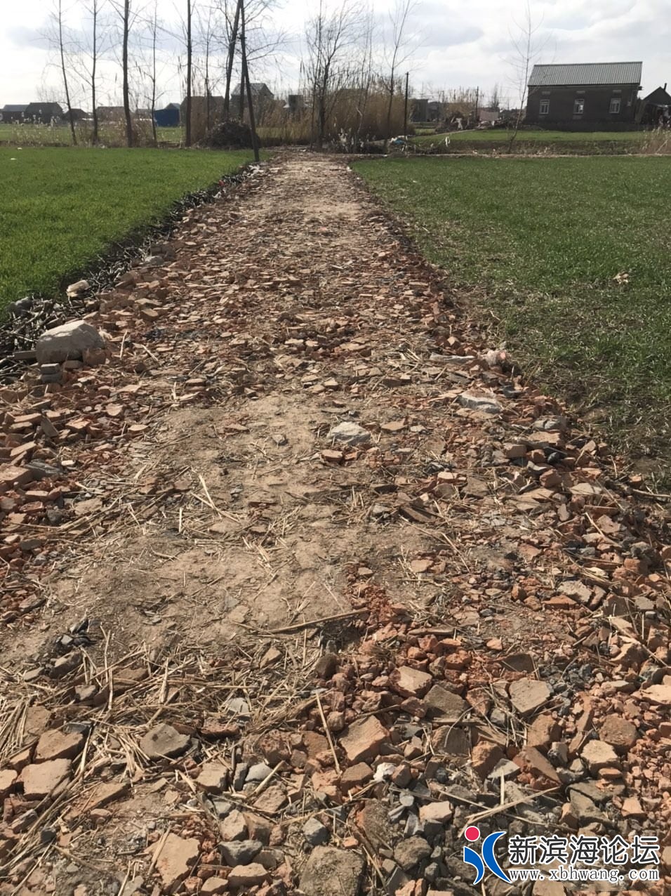 微信图片_20191231160331_看图王 - 副本.jpg