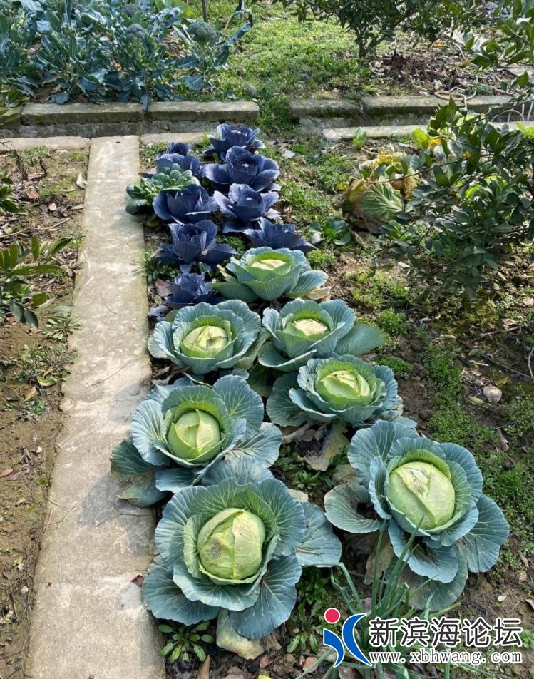 微信图片_20200203165825_副本 - 副本.jpg