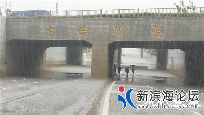 微信图片_20200616150527 - 副本.jpg