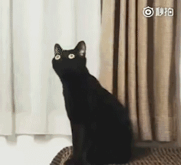 微信图片_20200709111826.gif