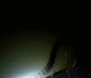 微信图片_20200720100939.gif