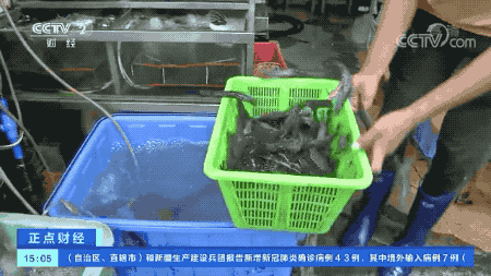 微信图片_20200804101116.gif