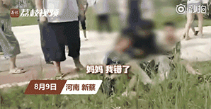 微信图片_20200811102944.gif