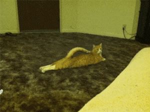 20200814_96622_1597379852481.gif