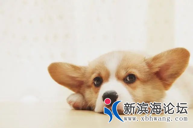 640 (1)_看图王.web.jpg