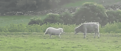 20200921_96622_1600650344093.gif