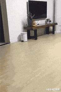 20201005_96622_1601860929913.gif